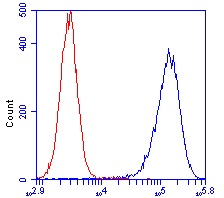 ab110276-Anti-ATP5O 4C11C10D12 antibody （ab110276）抗ATP5O 4C-抗体/抗原