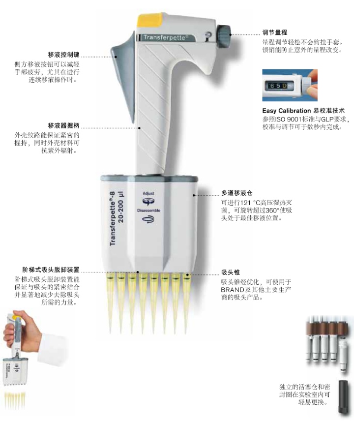 Transferpette®-8/-12-Transferpette® -8/-12单通道/多通道微量移液器-移液产品