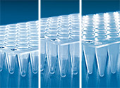 781300-普兰德  BRAND    PCR 单管、板及配件   781300-辅助耗材