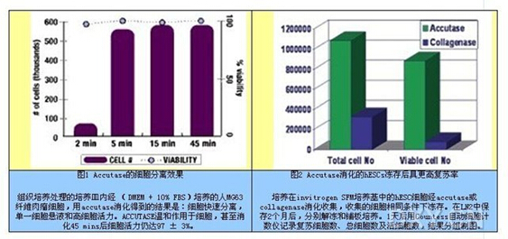 091000449-Accutase&trade; 胰蛋白酶替代品 091000449-支原体检测试剂盒