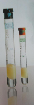 362760/362761/362753-BD单核细胞白膜层分离与保存样本收集管含淋巴细胞分离液