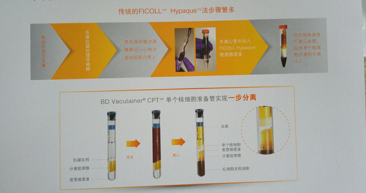 362760/362761/362753-BD单核细胞白膜层分离与保存样本收集管含淋巴细胞分离液