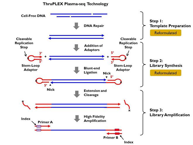 RB4490-Rubicon血浆游离DNA检测试剂盒ThruPLEX Plasma-seq Kit