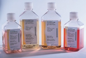 12-725F MGro-500-LONZA 12-725F和StemRD公司MGro-500人MSC无血清培养基干细胞