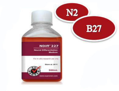 Y40002-CellArtis Y40002神经分化培养基NDiff 227神经干细胞培养基