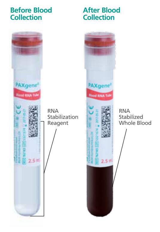 762165-BD 762165 PAXgene Blood RNA Tube北京授权代理全血RNA管