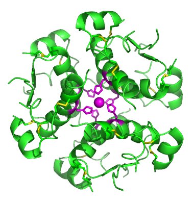 BioGems 重组人胰岛素细胞无血清培养添加剂-重组蛋白