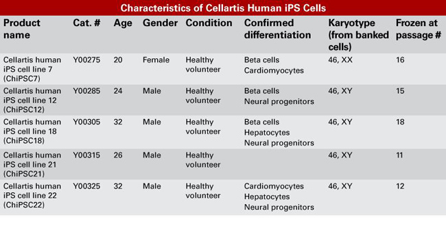 Cellartis Y00275-Human iPS Cell Lines人iPS诱导多能干细胞-iPS诱导多能干细胞株