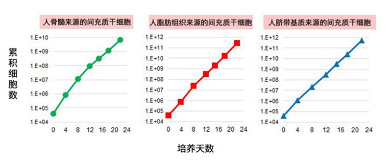 人间充质干细胞培养基Cellartis MSC Y50200