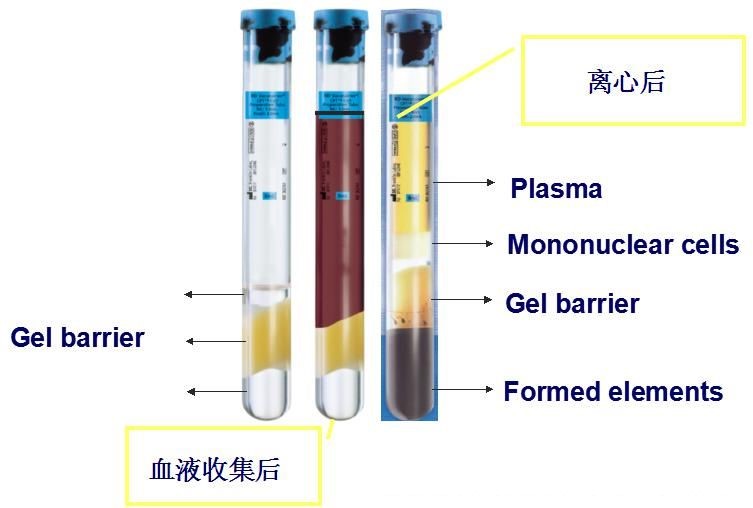 PRP采血管 BD Vacutainer CPT Tube 362761