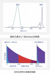 FT02C/FT03C/FT04C 荧光微球-荧光微球