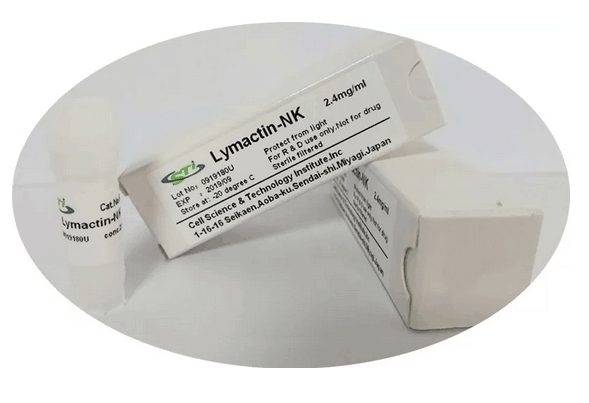 CSTI 6002T01 Lymactin-NK 抗体 现货供应-Lymactin-NK 抗体