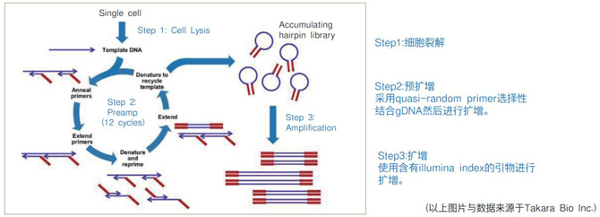 Takara R300381-Rubicon PicoPLEX DNA-seq Kit DNA文库构建-DNA测序文库构建