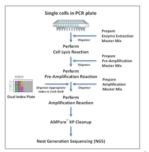 Takara R300381-Rubicon PicoPLEX DNA-seq Kit DNA文库构建-DNA测序文库构建