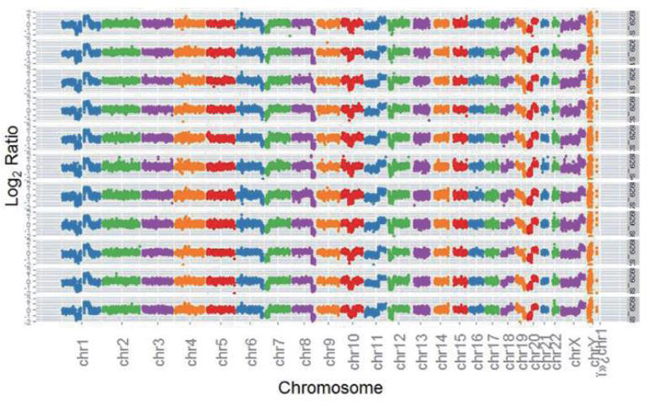 Takara R300381-Rubicon PicoPLEX DNA-seq Kit DNA文库构建-DNA测序文库构建