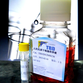 TBD2012MSCM-人间充质干细胞无血清培养液500ml/Kit-琼脂糖