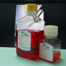 RAB2012ESCM-兔胚胎干细胞无血清培养液500ml/Kit-细胞分离液