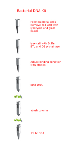 D3350-酵母和细菌DNA提取试剂盒-