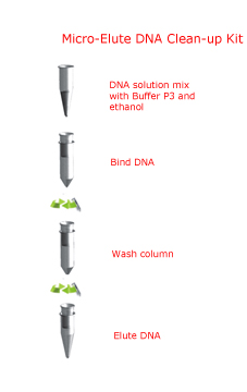 D6296-DNA/RNA反应纯化试剂盒-Pierce试剂盒