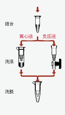 AP-PCR-250G-PCR清洁试剂盒-细胞生物学