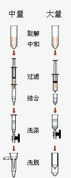 AP-MD-P-25-质粒中量制备试剂盒-试剂盒