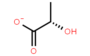 L-乳酸脱氢酶