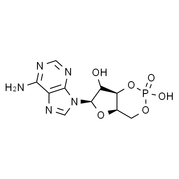腺苷-3',5'-环状磷酸