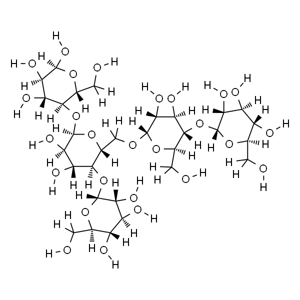 支链淀粉