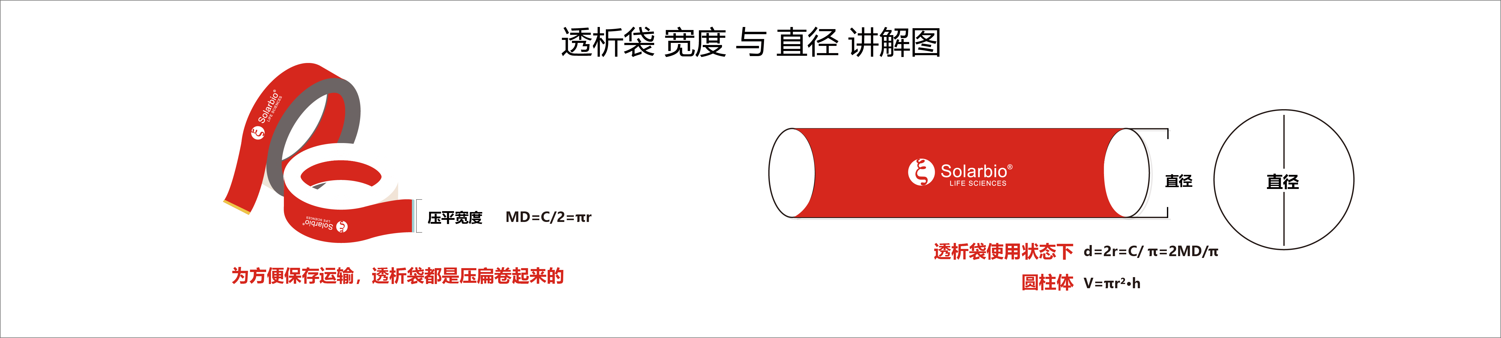 即用型透析袋 扁宽31 截留分子量3500-5000