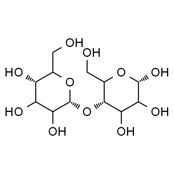 麦芽糊精  Maltodextrin