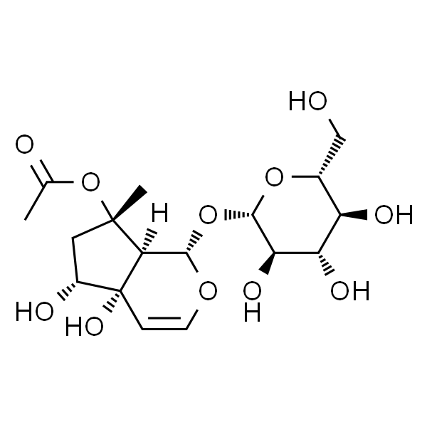 Acetylharpagide；乙酰哈巴苷