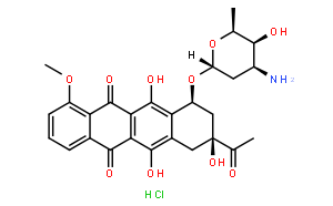 盐酸柔红霉素