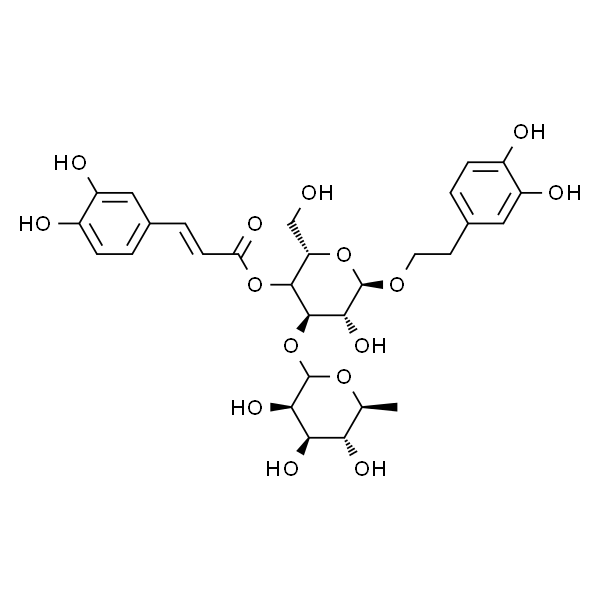 Verbascoside  类叶升麻苷/毛蕊花糖苷