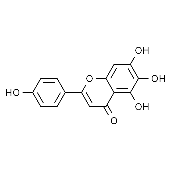 Scutellarein  野黄芩素