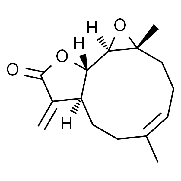 Parthenolide  小白菊内酯