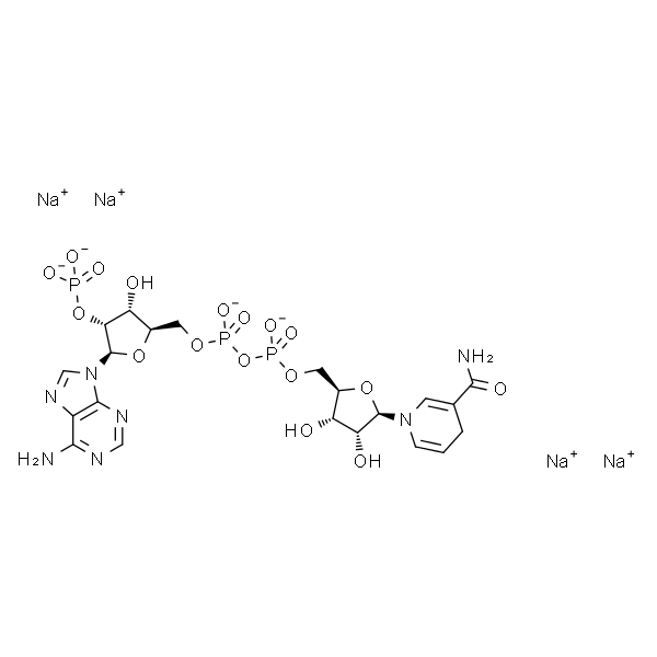 NADPH (tetrasodium salt)  还原型辅酶Ⅱ四钠