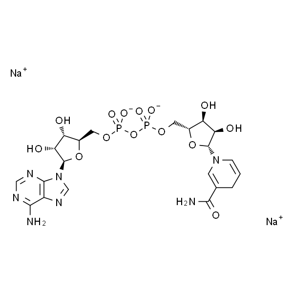 NADH (disodium salt)  还原型辅酶Ⅰ二钠