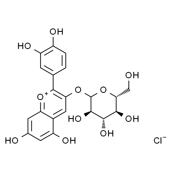 Kuromanin (chloride)  矢车菊素-3-O-葡萄糖苷