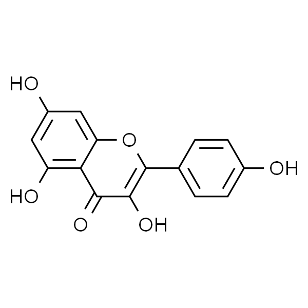 Kaempferol  山奈酚