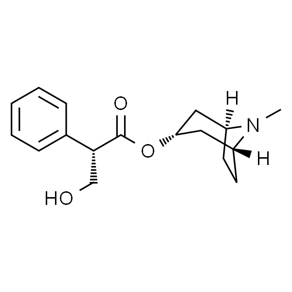 L-Hyoscyamine  莨菪碱