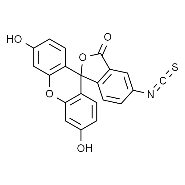 5(6)-FITC  异硫氰酸荧光素异构混合