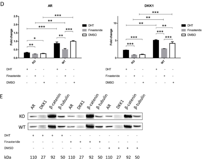 Finasteride  非那雄胺/非那甾胺