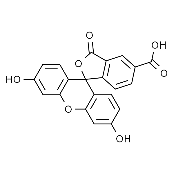 5-FAM  5-羧基荧光素