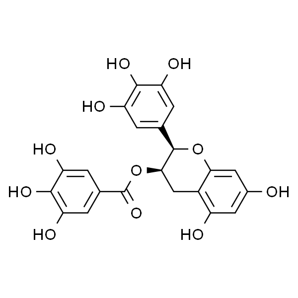 (-)-Epigallocatechin Gallate  表没食子儿茶素没食子酸酯