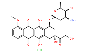 盐酸阿霉素