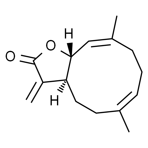 Costunolide  木香烃内酯