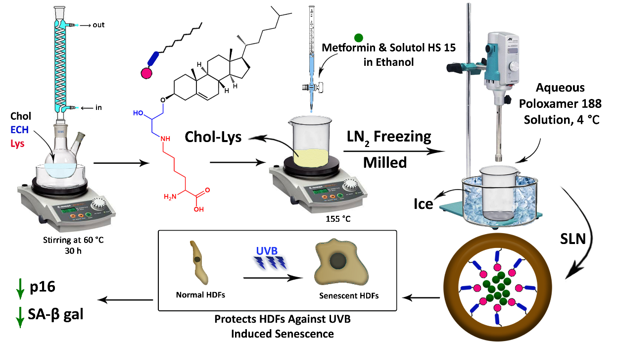 Cholesterol  胆固醇
