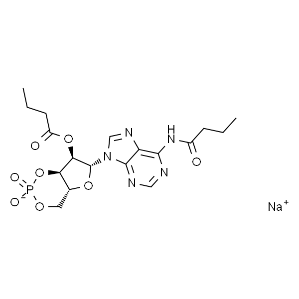 Bucladesine (sodium salt)  二丁酰环磷腺甙/布拉地新钠盐