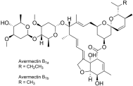 Avermectin B1  阿维菌素