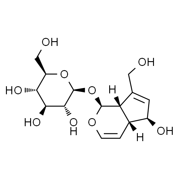 Aucubin  桃叶珊瑚苷